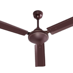 DAKSHSON FAN